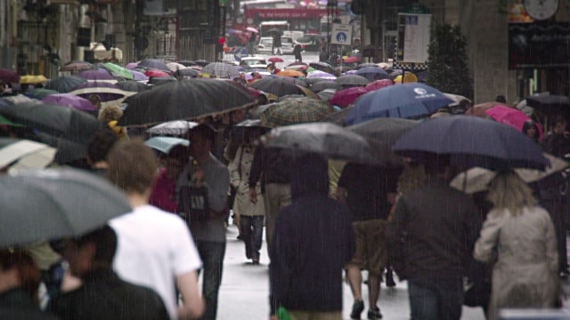 Many people using umbrellas on the road